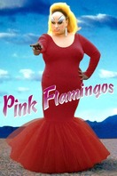 Poster of Pink Flamingos