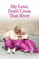 Poster of My Love, Don't Cross That River