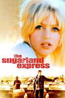 Poster of The Sugarland Express