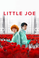 Poster of Little Joe