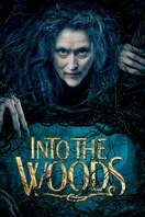 Poster of Into the Woods