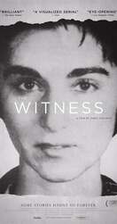 Poster of The Witness