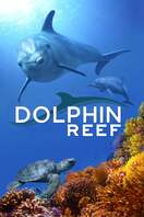 Poster of Dolphin Reef