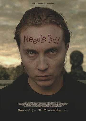 Poster of Needle Boy