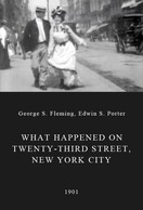 Poster of What Happened on Twenty-Third Street, New York City