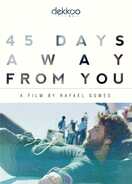 Poster of 45 Days Away from You