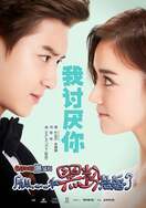 Poster of I Married an Anti-Fan