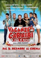 Poster of Vacanze ai Caraibi - Il film di Natale