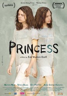 Poster of Princess