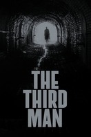 Poster of The Third Man