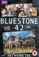 Poster of Bluestone 42