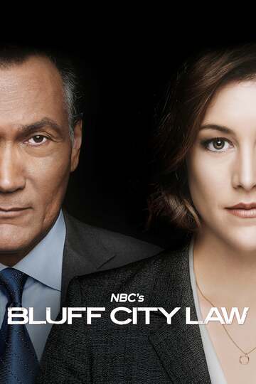 Poster of Bluff City Law