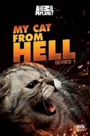 Poster of My Cat From Hell