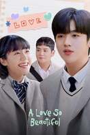Poster of A Love So Beautiful