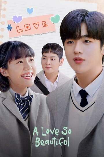 Poster of A Love So Beautiful