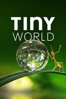 Poster of Tiny World