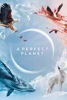 Poster of A Perfect Planet