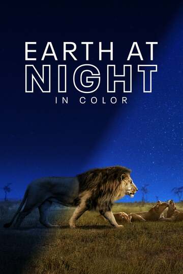 Poster of Earth at Night in Color