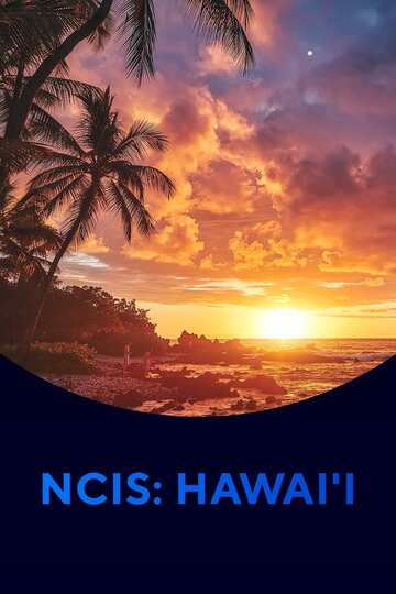 Poster of NCIS: Hawai'i